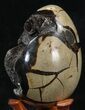 Septarian Dragon Egg Geode - Crystal Filled #40892-2